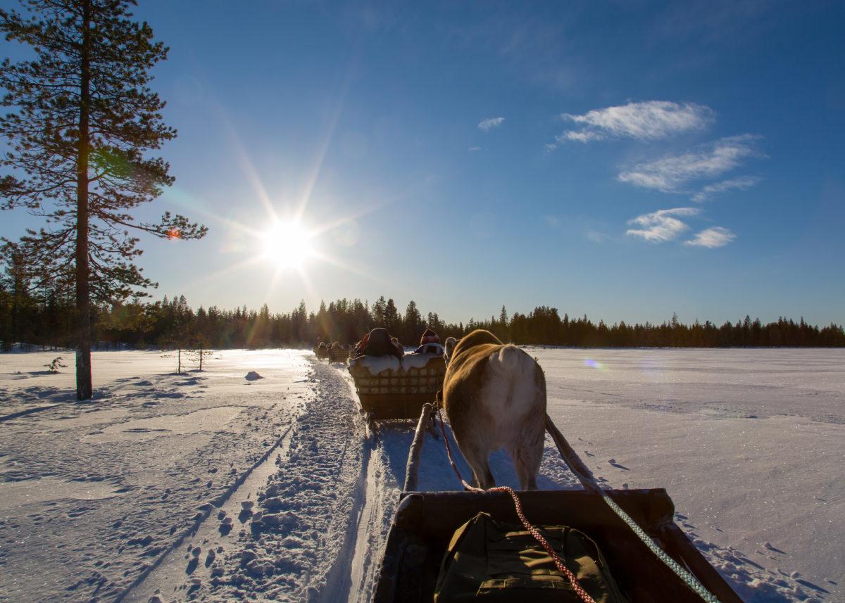 What to Do in Lapland? Here Are Our Tips for You! - Safartica