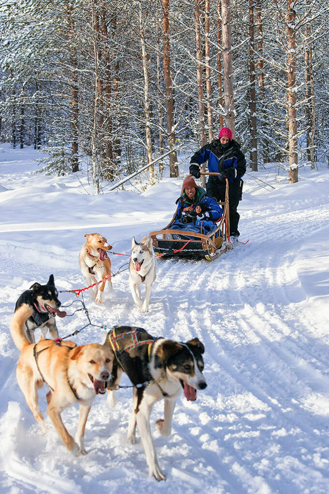 husky ride in Rovaniemi